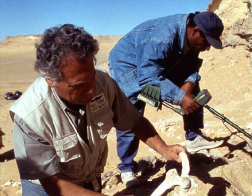 کشف بقایای اجساد 2500 ساله سربازان ایرانی در صحرای مصر 1