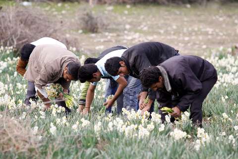 جاهای دیدنی ایران - شیراز