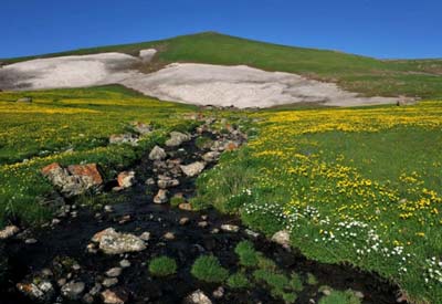 جایی شبیه رویا در ایران! (+عکس) www.TAFRIHI.com