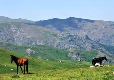 جایی شبیه رویا در ایران! (+عکس) www.TAFRIHI.com