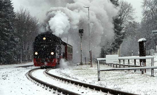 76124_406.jpg