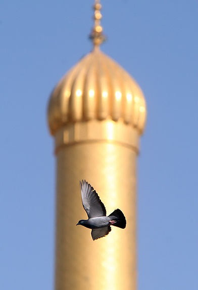 تصویر