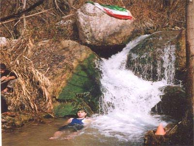 92246_875.jpg