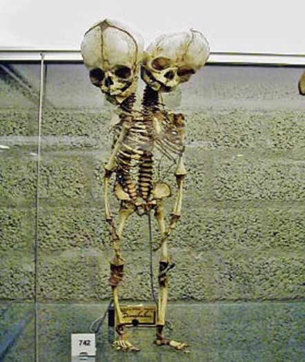 103887_438.jpg