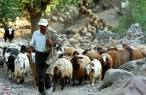 روستای لیقوان