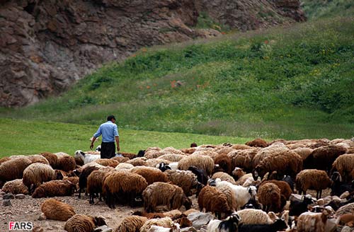 روستای لیقوان