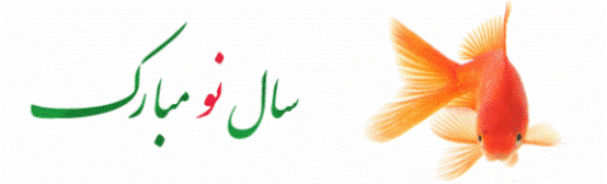 قوماندانی عمومی پولیس امن ونظم عامه گزارشات