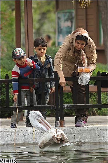 تصاویرروز2 : باغ پرندگان اصفهان