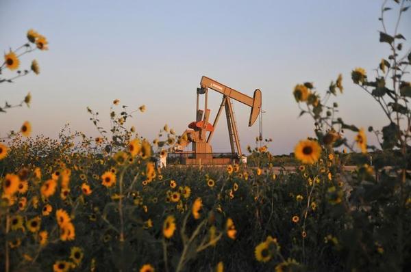افزایش قیمت نفت با کاهش تولید عراق و عربستان