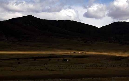 مغولستان به رغم این که کشور پهناوری است، یکی از کم‌تراکم‌ترین کشورهای جهان است. به همین دلیل، این کشور پوشیده از استپ‌های زیباست و یکی از وحشی‌ترین مناطق طبیعی جهان به شمار می‌آید.
David Gray / Reuters
