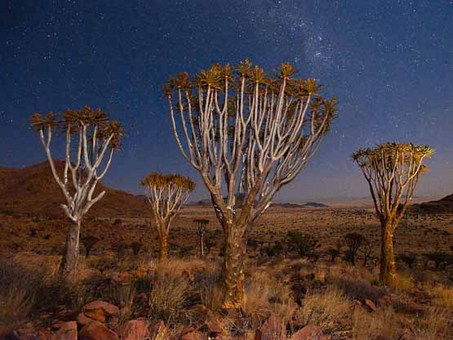 صحرای نامیبیا
Frans Lanting