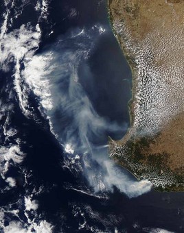 آتش سوزی در جنوب غرب استرالیا