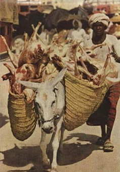 گوشت‌های قربانی