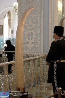 عاج عظیم الجثه هدیه شده از هندوستان به دربار پهلوی که در نوع خود بی نظیر می باشد