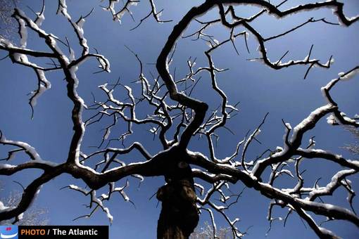 تصویری از زمستان چین