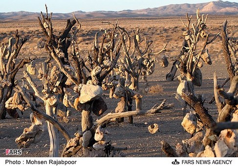 باغ سنگی روستای میاندوآب در جنوب شرقی سیرجان در استان کرمان