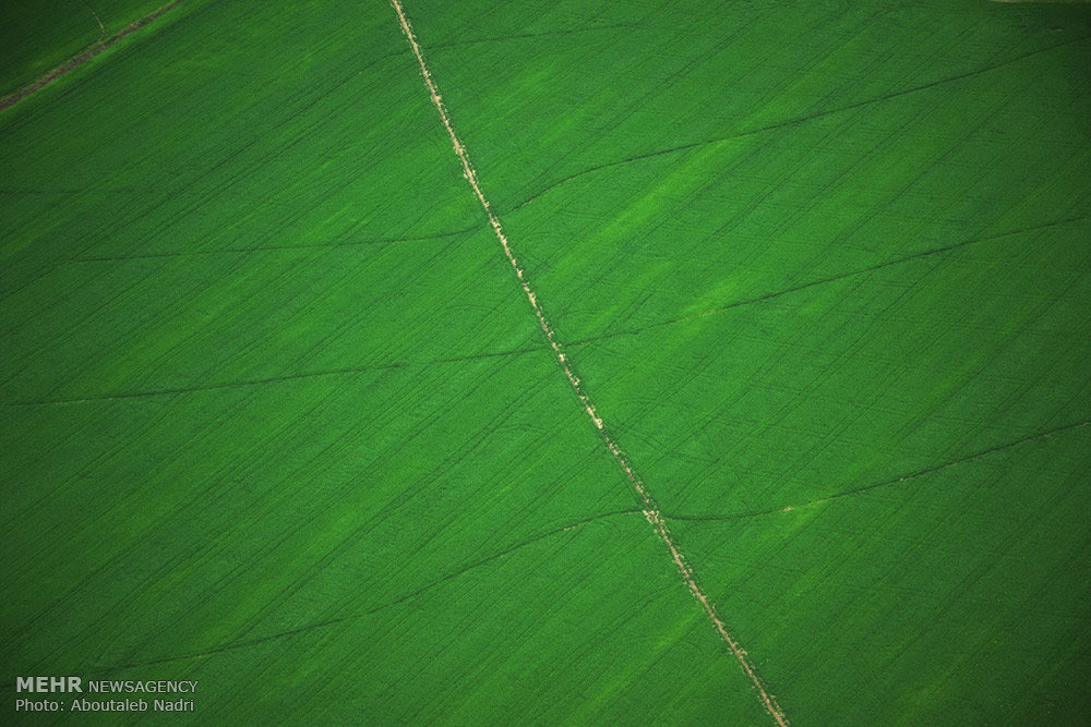 صور: هنا شمال ایران