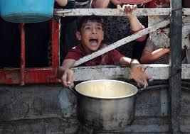 Iran urges Immediate sanctions on Israel due to genocide in Gaza