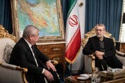 Larijani, Putin envoy discuss Syria, regional developments