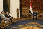 Araghchi discusses bilateral ties, regional issues with Egyptian president