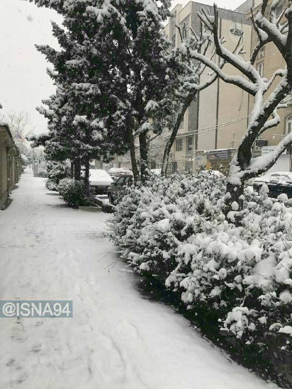 عکس از برف امروز تهران