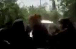 قمه کشی دختران دبیرستانی
