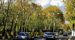 ماجرای نصب شنود در درختان تهران!