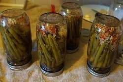 طرز تهیه ترشی لوبیا سبز