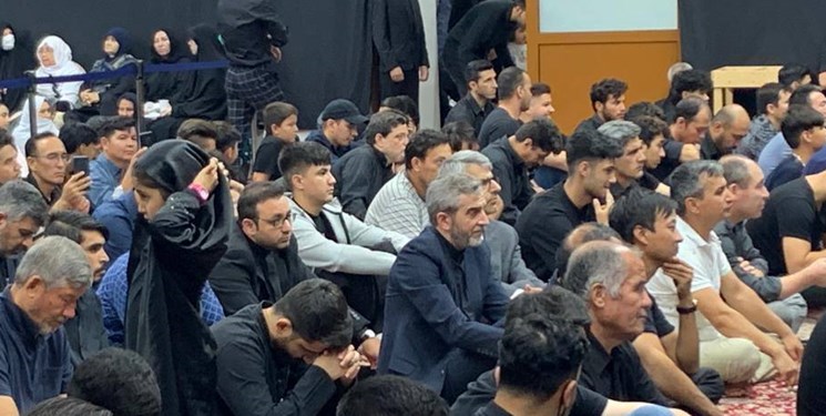 روز چهارم مذاکرات با رایزنی باقری و مورا/ چین و روسیه مخالف پیشنهاد اتحادیه اروپا درباره برجام هستند؟