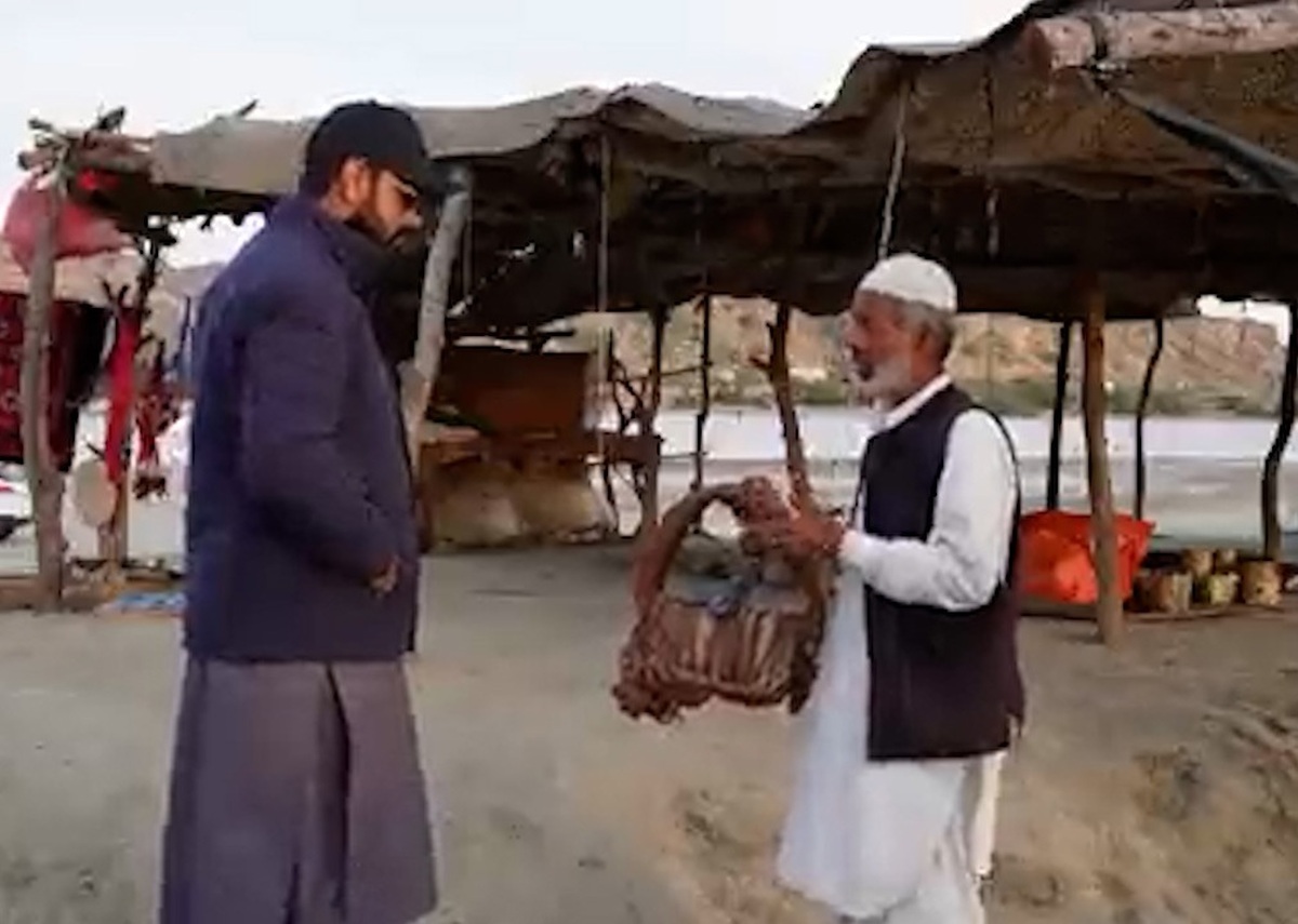 تسلط پیرمرد دست فروش بلوچ به انگلیسی