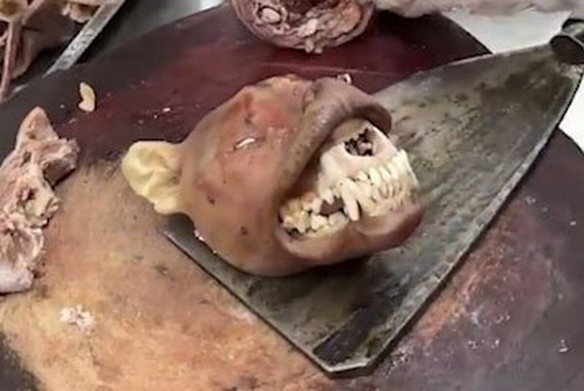 آماده سازی کله پاچه سگ در چین