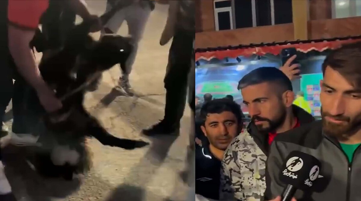 استقبال تراکتوری‌ها از علیرضا بیرانوند با گوسفند