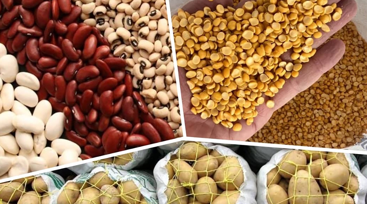 چراغ سبز وزیر کشاورزی به افزایش قیمت حبوبات!