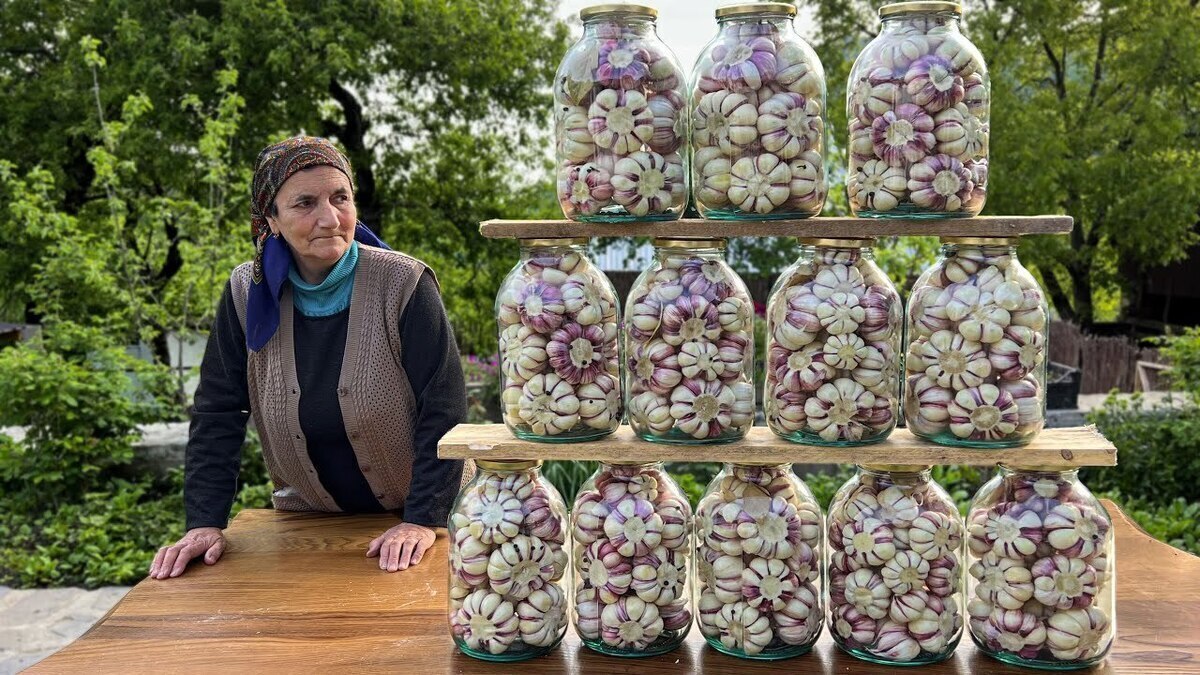 روش تهیه ترشی سیر به روش سنتی آذربایجانی