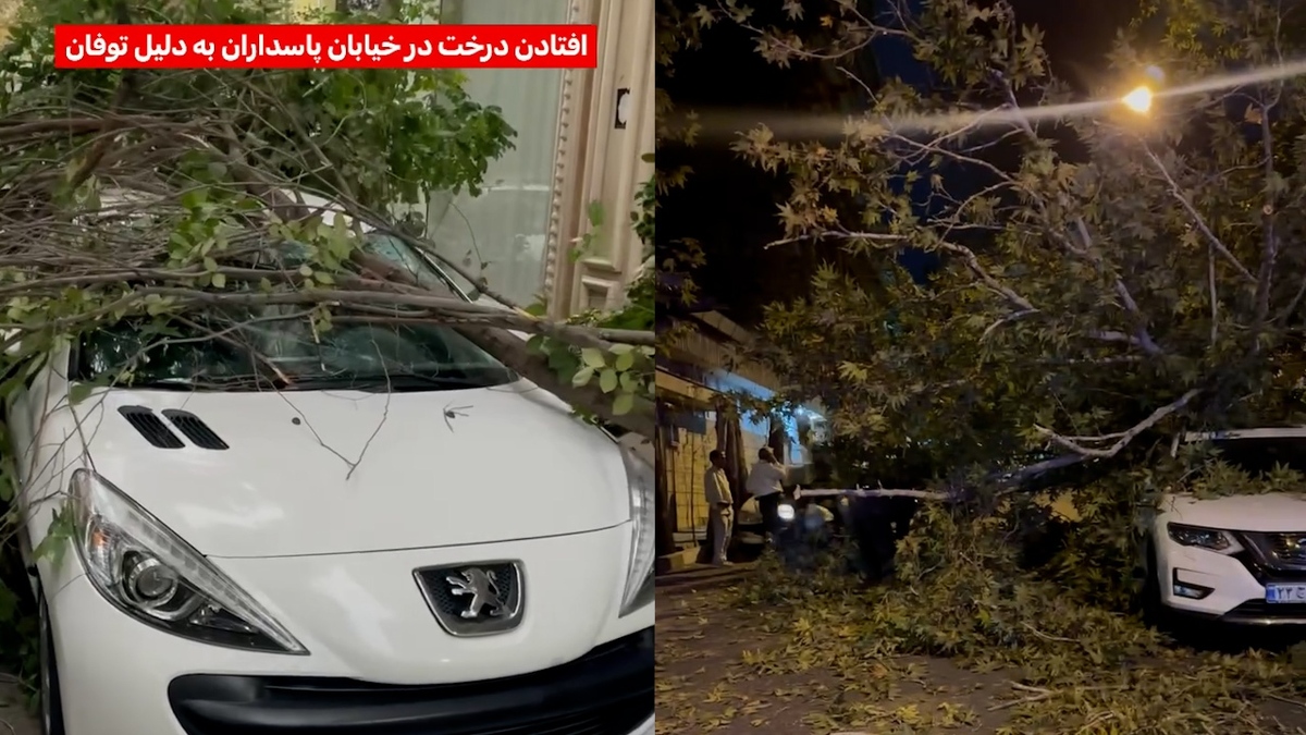 تصاویر طوفان شدید تهران و سقوط درخت‌ها روی خودروها