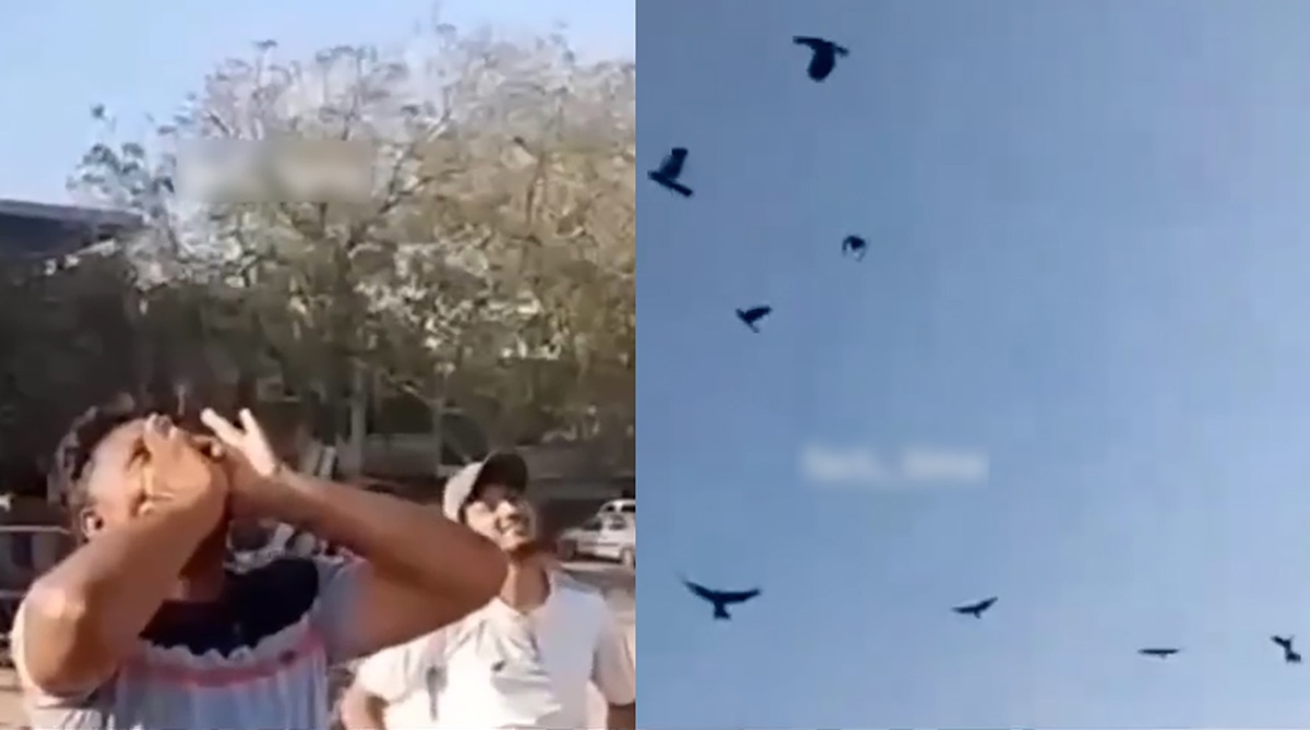 لحظه بهت آور احضار کلاغ‌ها توسط این مرد