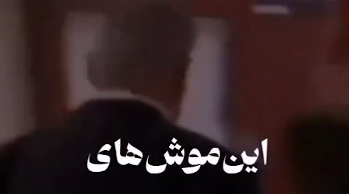مردم علاج در وطن است ؛ محسن چاوشی