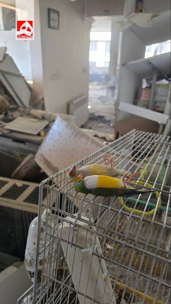 روز بیست و چهارم/موج جدید شلیک موشک&zwnj;های ایران به سمت اراضی اشغالی/حمله دشمن آمریکایی_صهیونی به برخی مناطق تهران/ بروزرسانی می شود