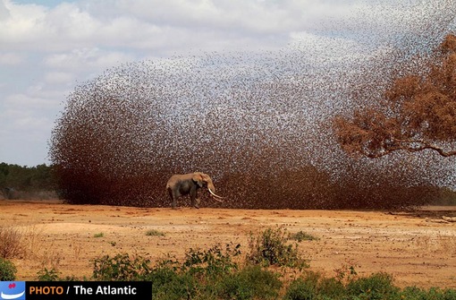 Antero Topp/National Geographic Photo Contest