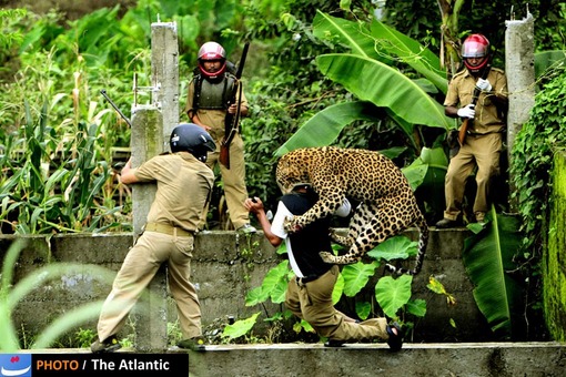  Salil Bera/National Geographic Photo Contest