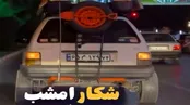 تصاویر شگفت انگیز پرایدِ آفرود