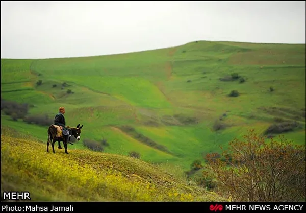 طبیعت منطقه ارسباران، دوشنبه 30 اردیبهشت 1391