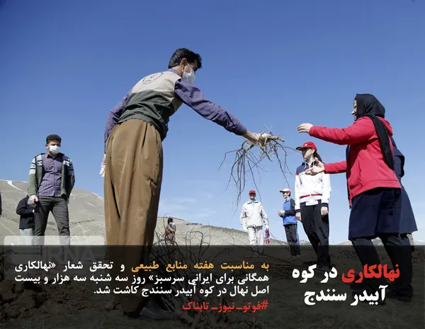 به مناسبت هفته منابع طبیعی و تحقق شعار &laquo;نهالکاری همگانی برای ایرانی سرسبز&raquo; روز سه شنبه سه هزار و بیست اصل نهال در کوه آبیدر سنندج کاشت شد.
