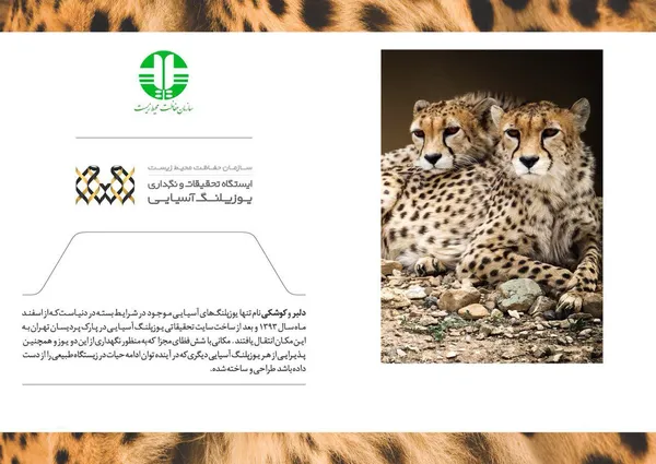 تابناک.