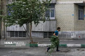 پیش‌بینی وزش باد شدید در استان تهران از عصر فردا
