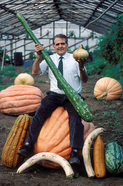 Giant Vegtables