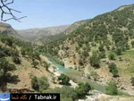 تابناک