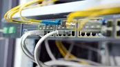 اینترنت باکیفیت نیاید، سیل مهاجرت در راه است