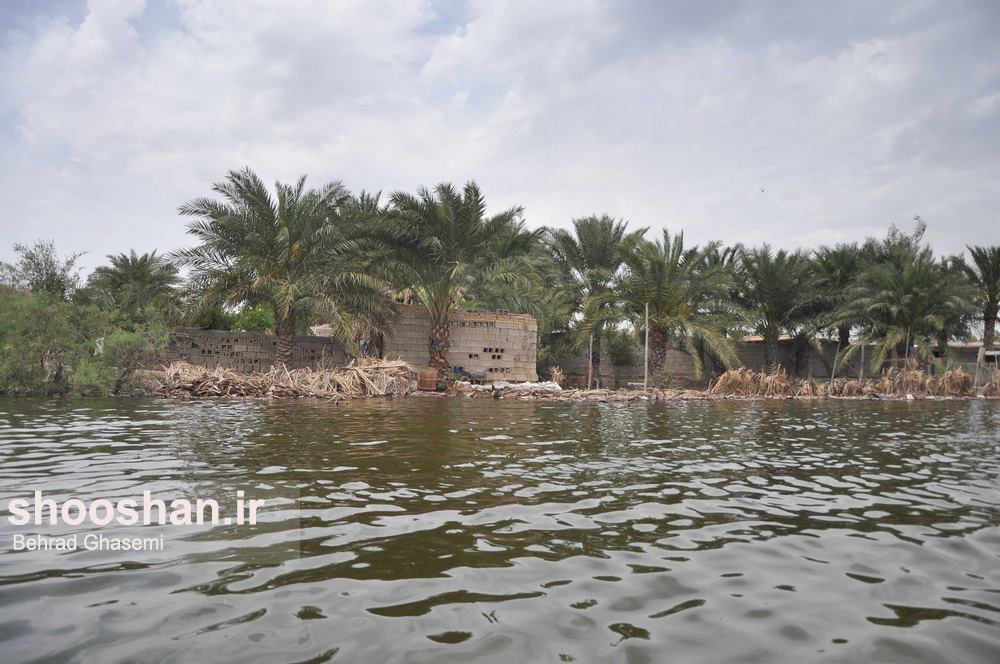 تابناک