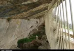 تابناک